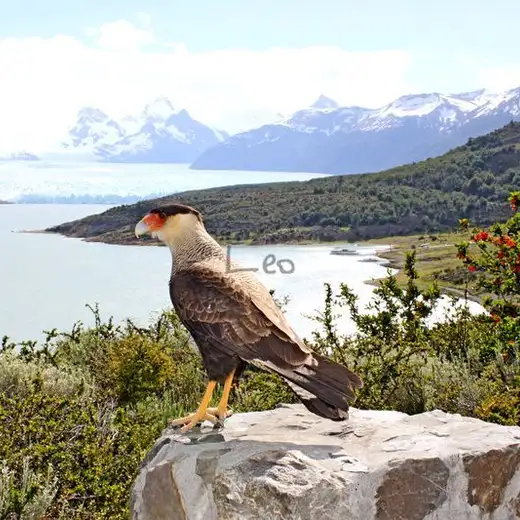 Patagonia e Isla de Pascua, foto 4