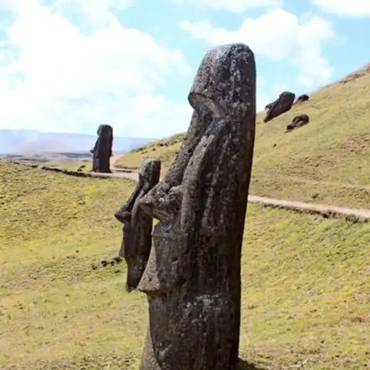 Patagonia e Isla de Pascua, foto 18