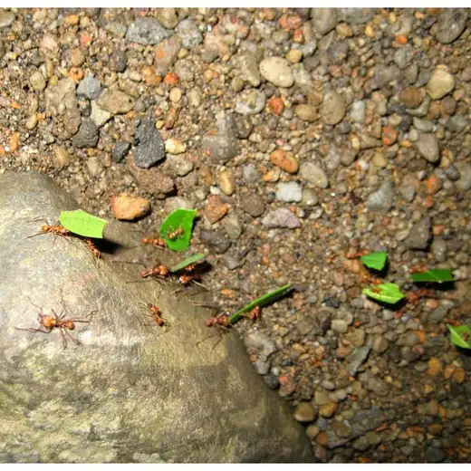 Costa Rica, foto 4
