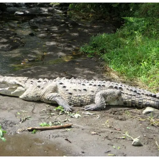 Costa Rica, foto 5