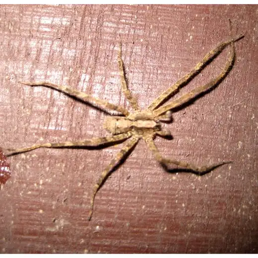Costa Rica, foto 19