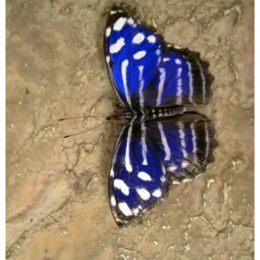 Costa Rica, foto 24