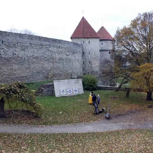 Tallin y Helsinki, foto 3