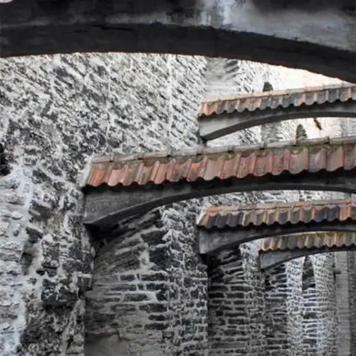 Tallin y Helsinki, foto 4