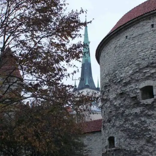 Tallin y Helsinki, foto 5
